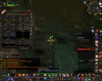 WoWScrnShot_052208_185746.jpg